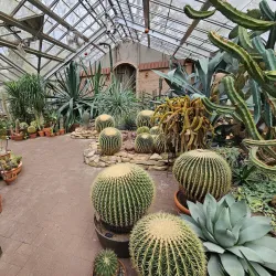 Highland Park - Rochester