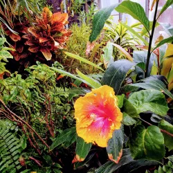 Highland Park - Rochester