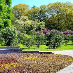 Highland Park - Rochester