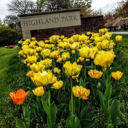 Highland Park - Rochester