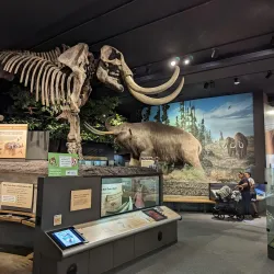 Rochester Museum & Science Center - Rochester