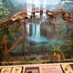 Rochester Museum & Science Center - Rochester