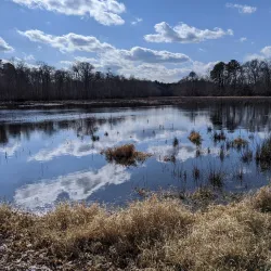 Calverton Wildlife Management Area - Rocky Point