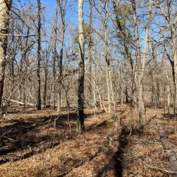 Wildwood Preserve - Rocky Point