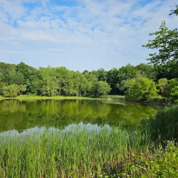 Delta Lake State Park - Rome