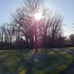 Heritage Trail - Rome