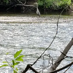 Heritage Trail - Rome