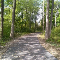 Heritage Trail - Rome