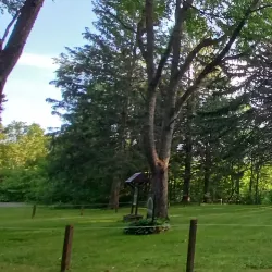 Heritage Trail - Rome