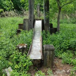 Heritage Trail - Rome