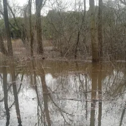 Heritage Trail - Rome