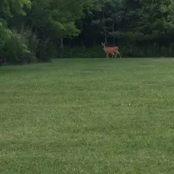 Jail Hill Park - Rome