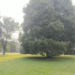 Jail Hill Park - Rome