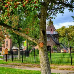 Rome Art and Community Center - Rome