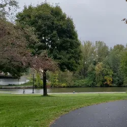 Rome Canal Park - Rome