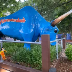 Adventureland - Ronkonkoma