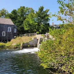 Connetquot River State Park Preserve - Ronkonkoma