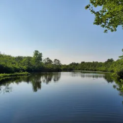 Connetquot River State Park Preserve - Ronkonkoma