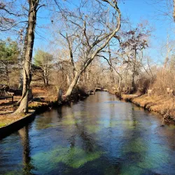 Connetquot River State Park Preserve - Ronkonkoma