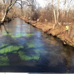Connetquot River State Park Preserve - Ronkonkoma