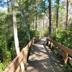 Lakeland County Park - Ronkonkoma