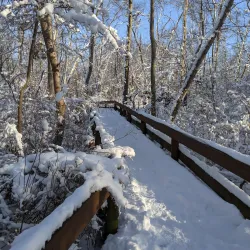 Lakeland County Park - Ronkonkoma