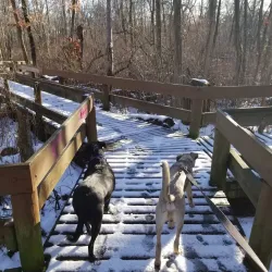 Lakeland County Park - Ronkonkoma