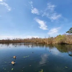 Lakeland County Park - Ronkonkoma