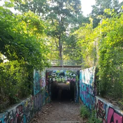 Lakeland County Park - Ronkonkoma