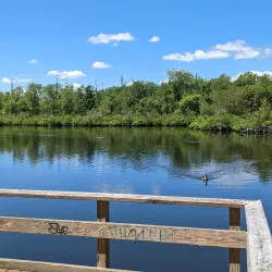 Lakeland County Park - Ronkonkoma