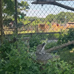 Long Island Game Farm - Ronkonkoma