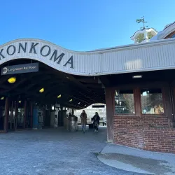 Long Island Rail Road - Ronkonkoma Station - Ronkonkoma