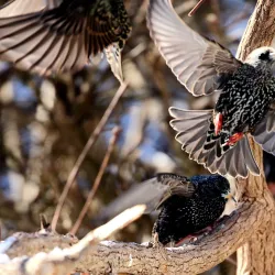 Ronkonkoma Lake - Ronkonkoma