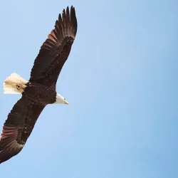 Ronkonkoma Lake - Ronkonkoma