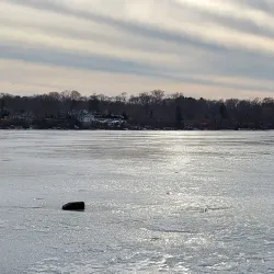 Ronkonkoma Lake - Ronkonkoma