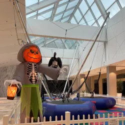 Westfield Sunrise Mall - Ronkonkoma