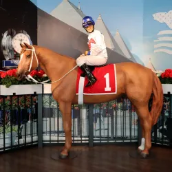 National Museum of Racing and Hall of Fame - Saratoga Springs