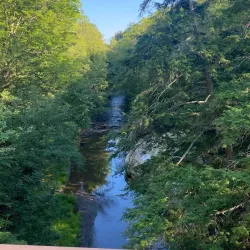 Saratoga Performing Arts Center (SPAC) - Saratoga Springs