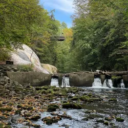 Saratoga Performing Arts Center (SPAC) - Saratoga Springs