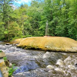 Saratoga Spa State Park - Saratoga Springs