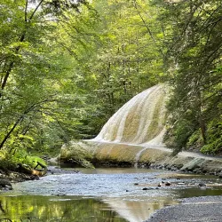 Saratoga Spa State Park - Saratoga Springs