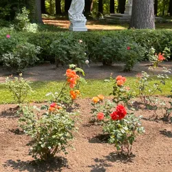 Yaddo Gardens - Saratoga Springs