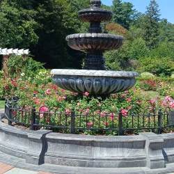 Central Park Rose Garden - Schenectady