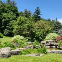 Central Park Rose Garden - Schenectady