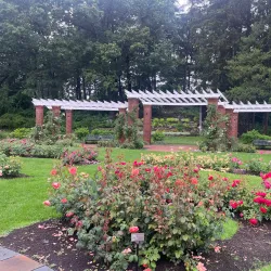 Central Park Rose Garden - Schenectady
