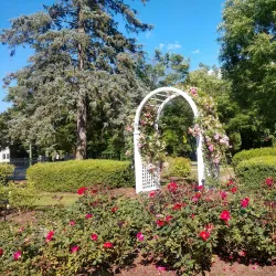 Central Park Rose Garden - Schenectady