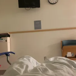 Ellis Hospital - Schenectady