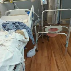 Ellis Hospital - Schenectady