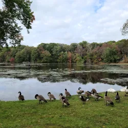 Caleb Smith State Park Preserve - Smithtown