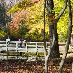 Caleb Smith State Park Preserve - Smithtown